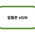 알뜰폰 eSIM