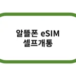 알뜰폰 eSIM 셀프개통