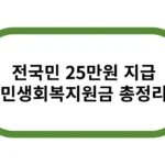 전국민 25만원 지급