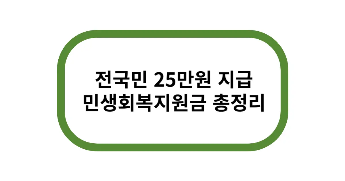 전국민 25만원 지급