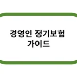 경영인 정기보험