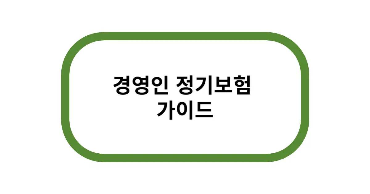 경영인 정기보험