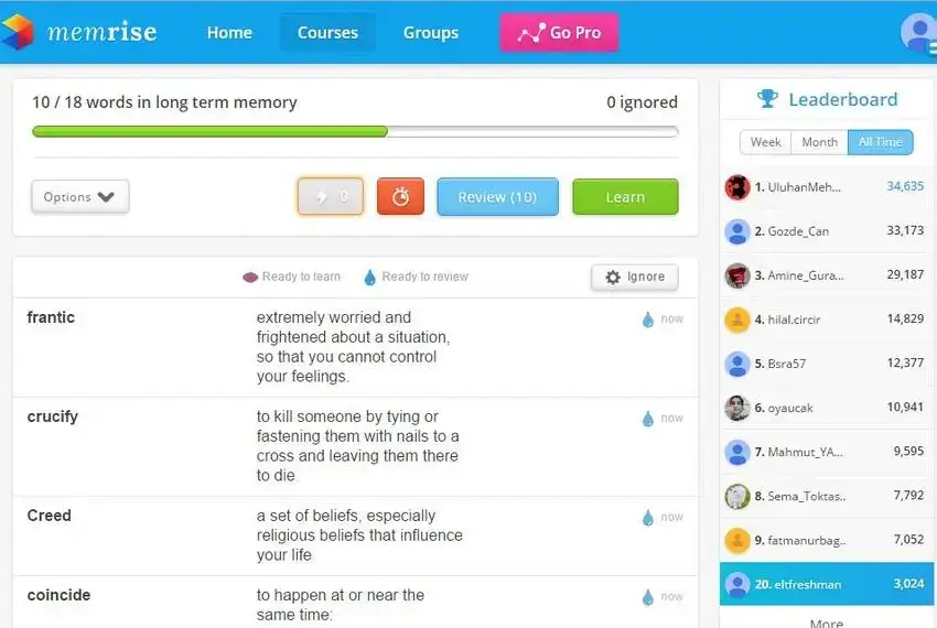 Memrise web UI word tracking screen